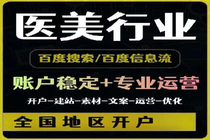 某行业领军企业的SEM广告投放策略